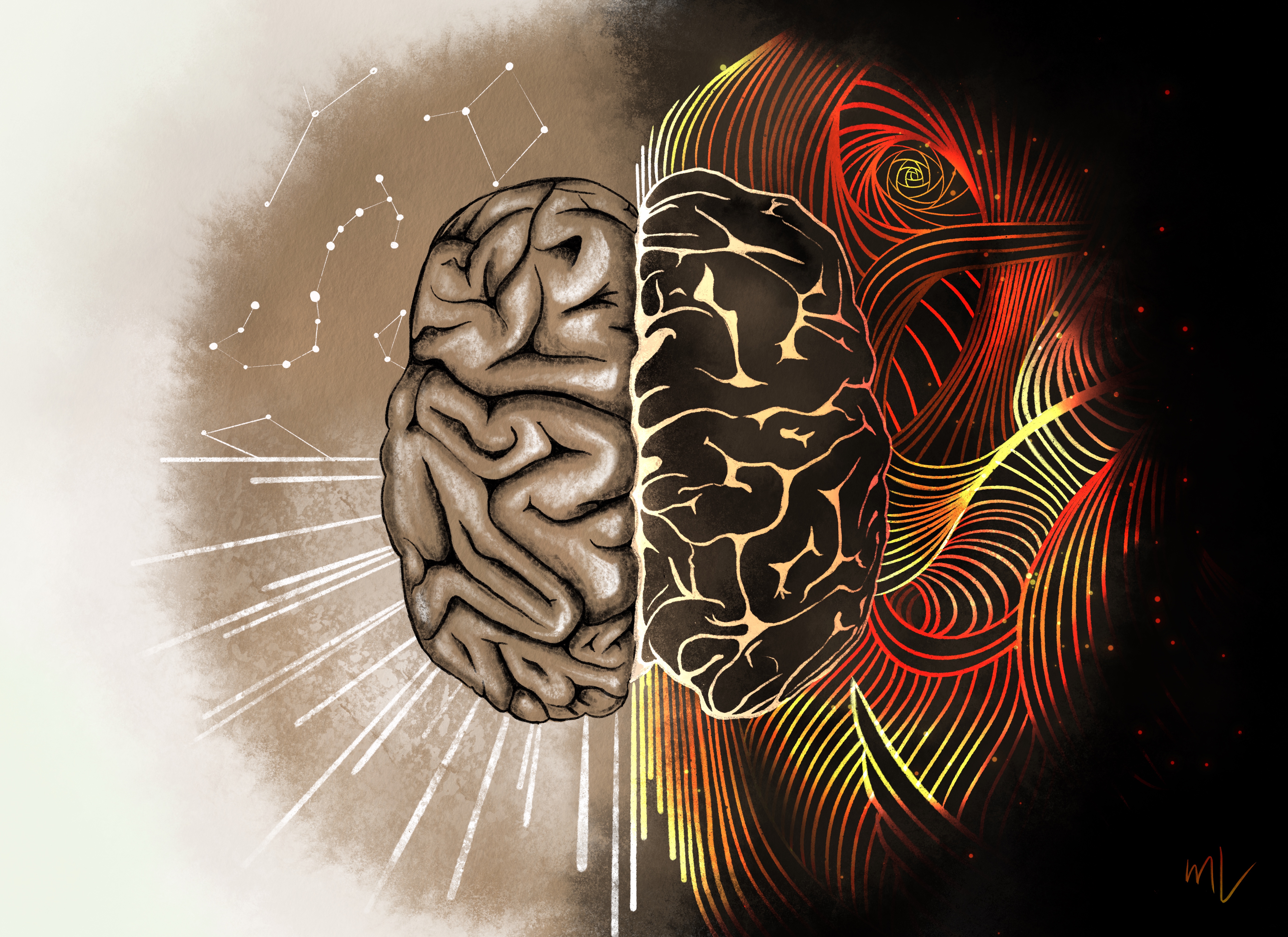 Brain 01